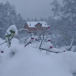  Chalet Bois Au Milieu Des Pyrénées